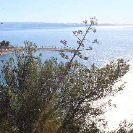 Paradise Apartment With Big Sunny Terrace In The Old Town, Few Meters From The Sea & Riva Promenade Split Exteriör bild