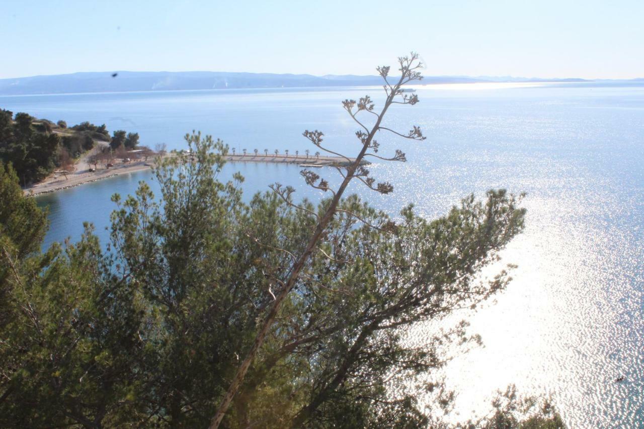 Paradise Apartment With Big Sunny Terrace In The Old Town, Few Meters From The Sea & Riva Promenade Split Exteriör bild